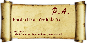Pantelics András névjegykártya
